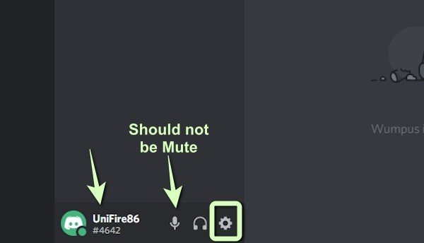 check mute setting in Discord