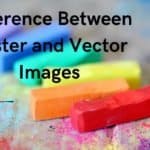 Must Know Difference Between Raster and Vector Images