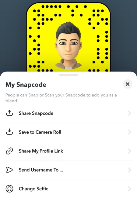 Share Snapcode, save to camera roll, send username options